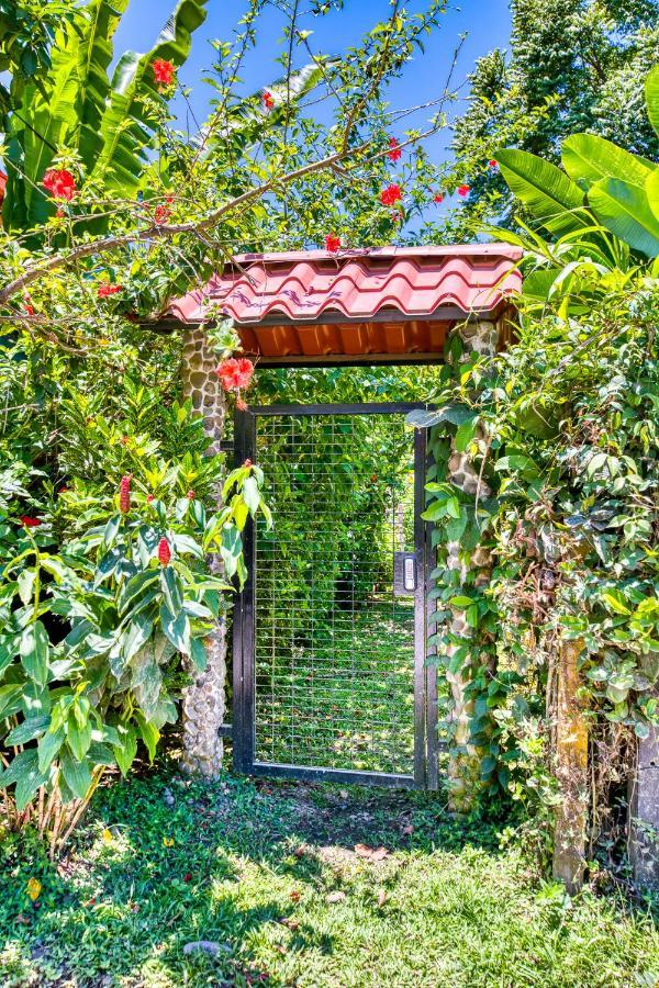 Villas Pina - Adults Only Puerto Viejo de Talamanca 외부 사진